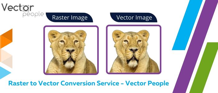 Raster to Vector Conversion Service